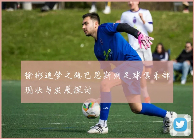 徐彬追梦之路巴恩斯利足球俱乐部现状与发展探讨